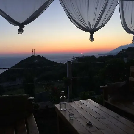 Xuxi 3*