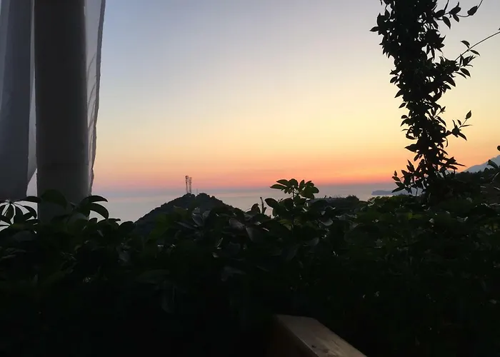 Xuxi 3*