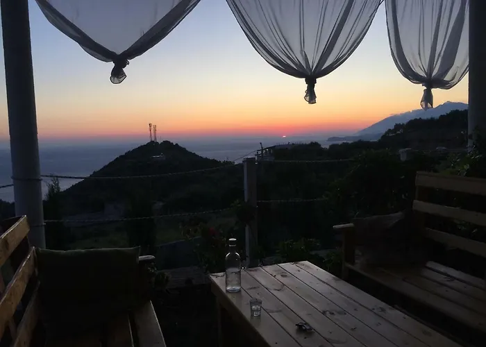 Xuxi 3*